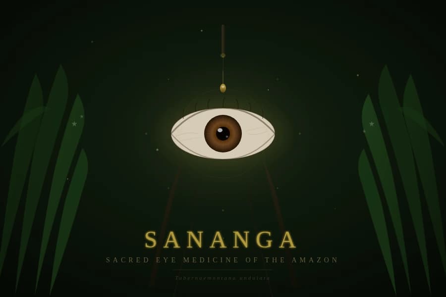 Sananga: Das heilende Feuer, Schmerzphysiologie und Öffnung der Sicht