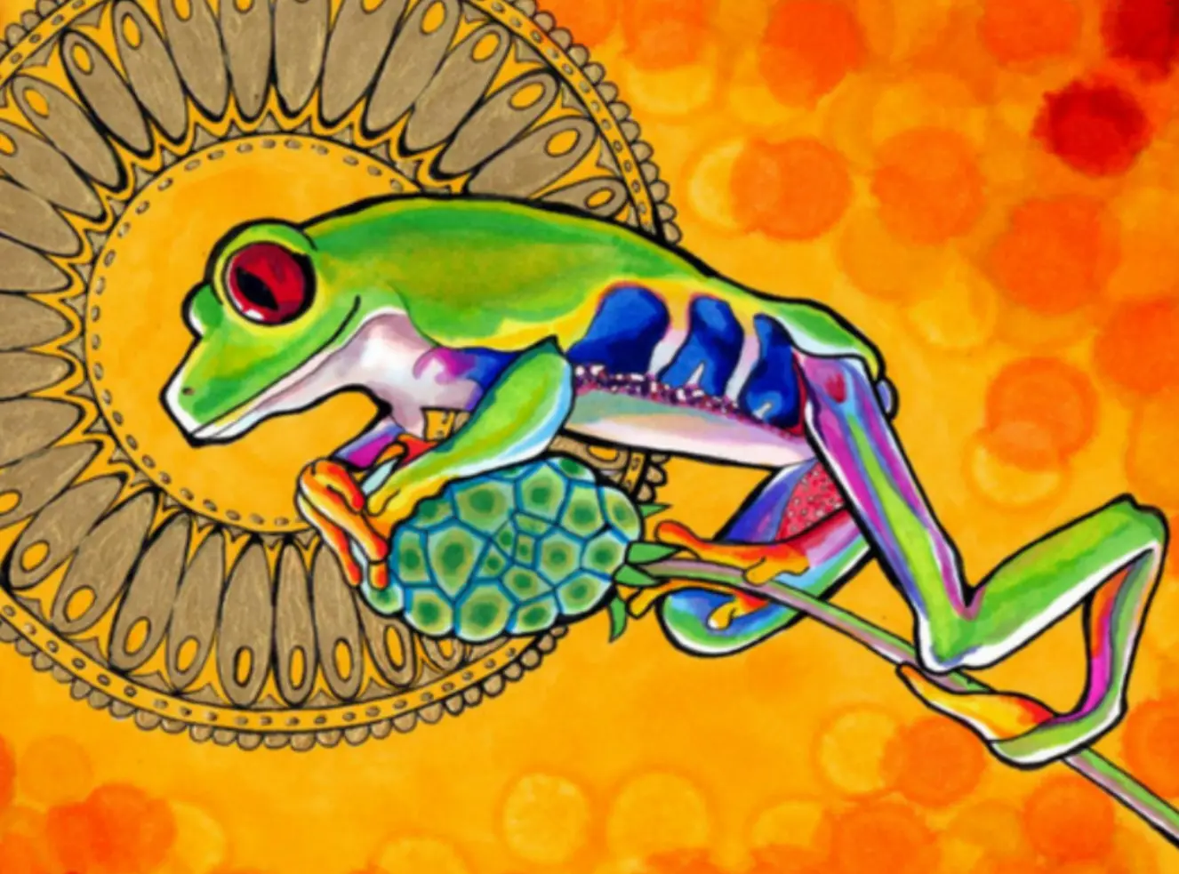 איור של צפרדע הקמבו