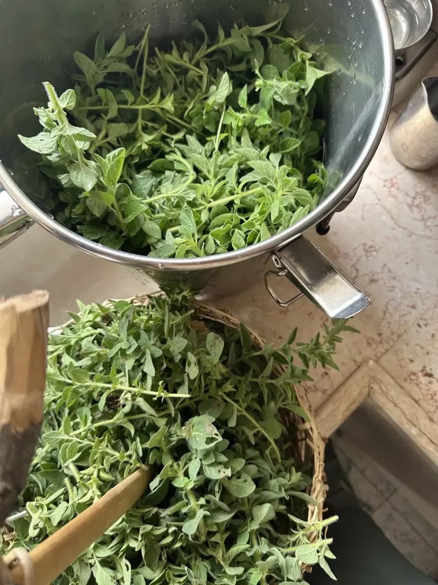 Frische Zitronen im Korb