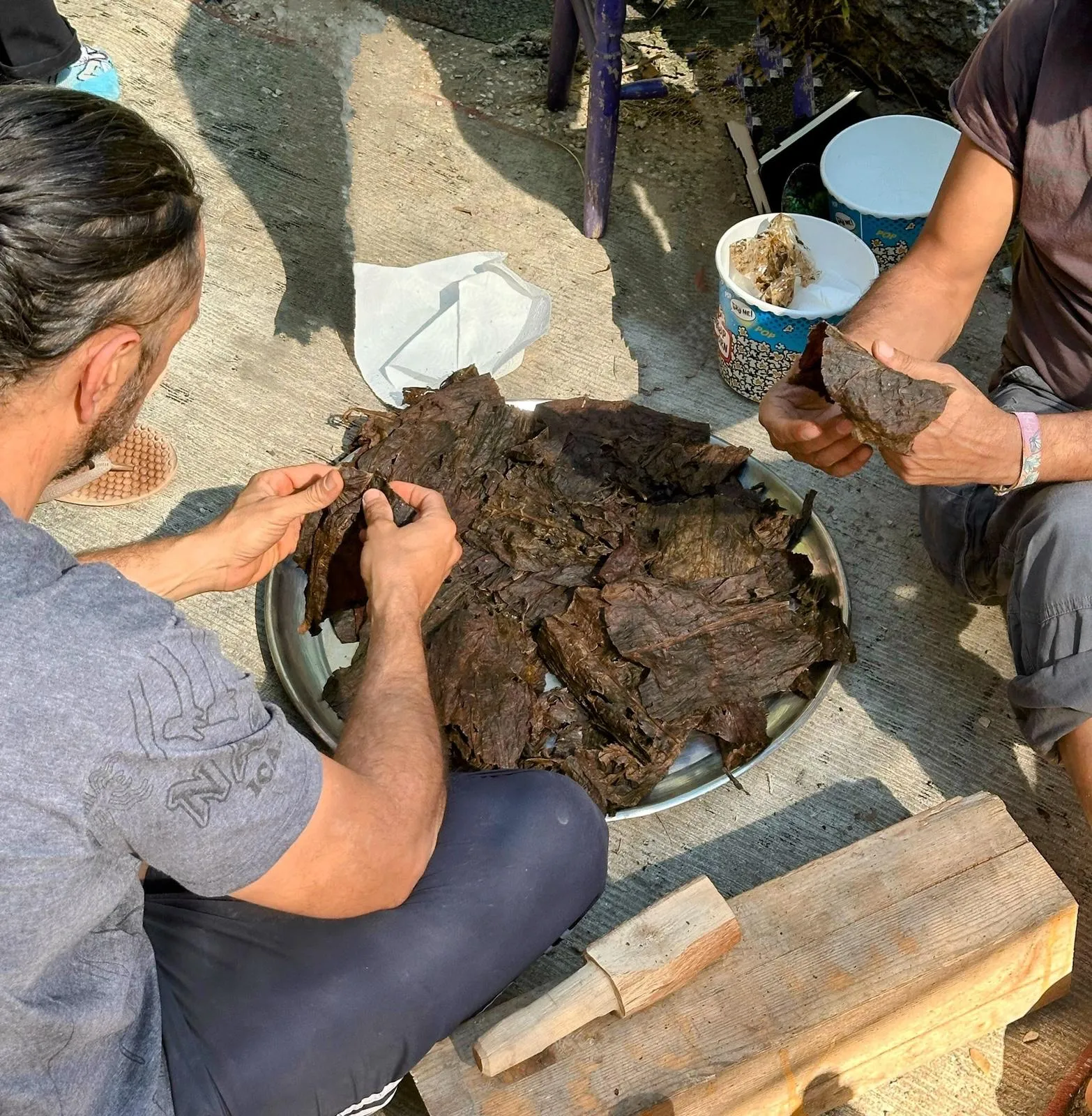 Hands sorting and preparing dried Mapacho tobacco leaves during a traditional Rapeh-making process